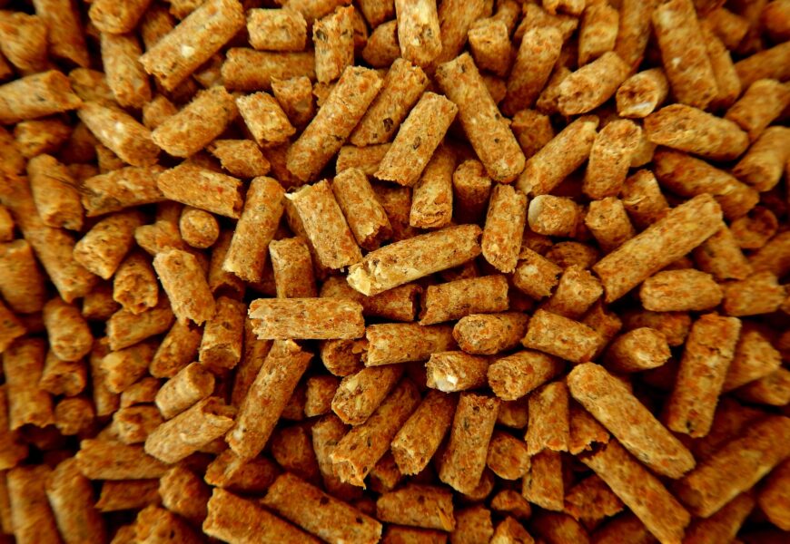 Kotle na peletky: moderní a úsporné vytápění domácnosti