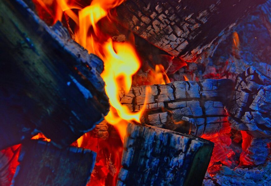 Jaké dřevo je nejvýhřevnější a proč, a kolik stojí