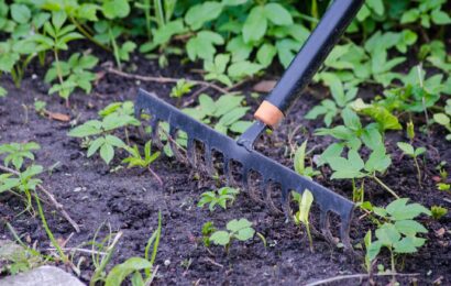 Jaké zahradní hrábě vybrat: průvodce podle činnosti na zahradě